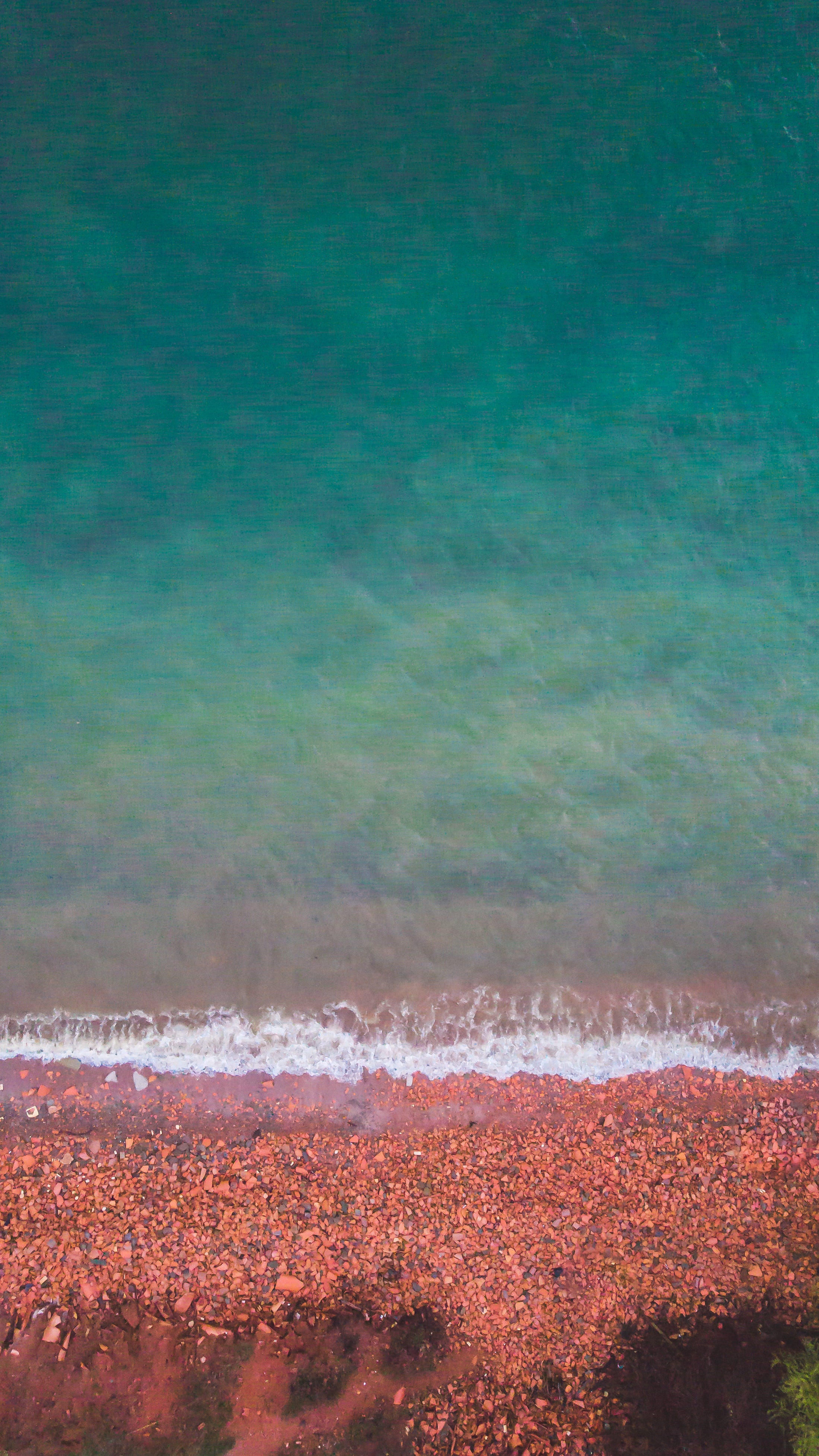 Families of a addict